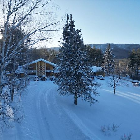 Snowdon Chalet Motel Londonderry Eksteriør bilde
